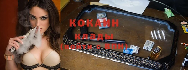 хмурый Алексин