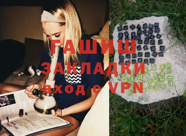 хмурый Алексин