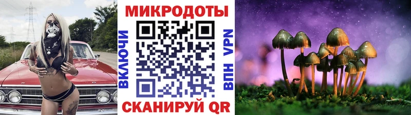 Псилоцибиновые грибы MAGIC MUSHROOMS  даркнет сайт  Межгорье 