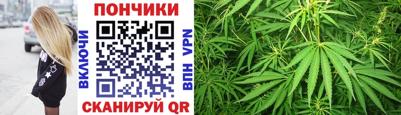 OMG вход  Межгорье  Марихуана планчик  наркотики 
